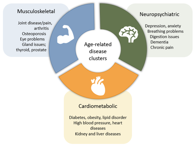 Multimorbidity clusters