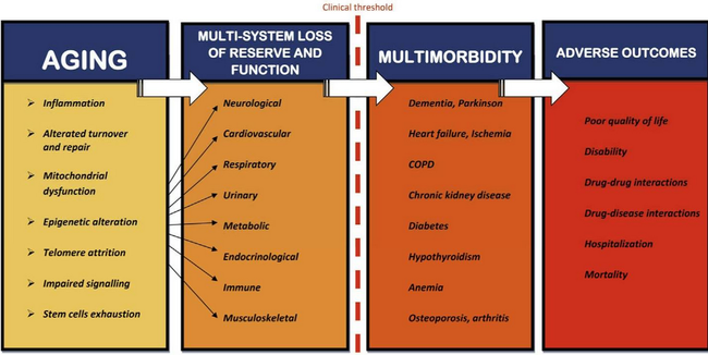 Ageing multimorbidity process