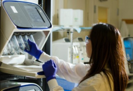 DNA Genotyping and Sequencing. Technician prepares for a viral whole-genome sequencing experiment